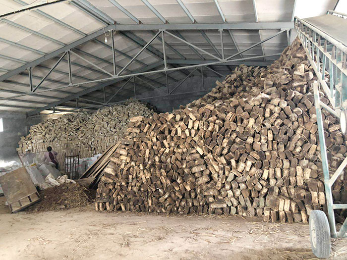 香蕉视频在线观看黄色